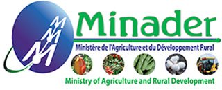 MINADER